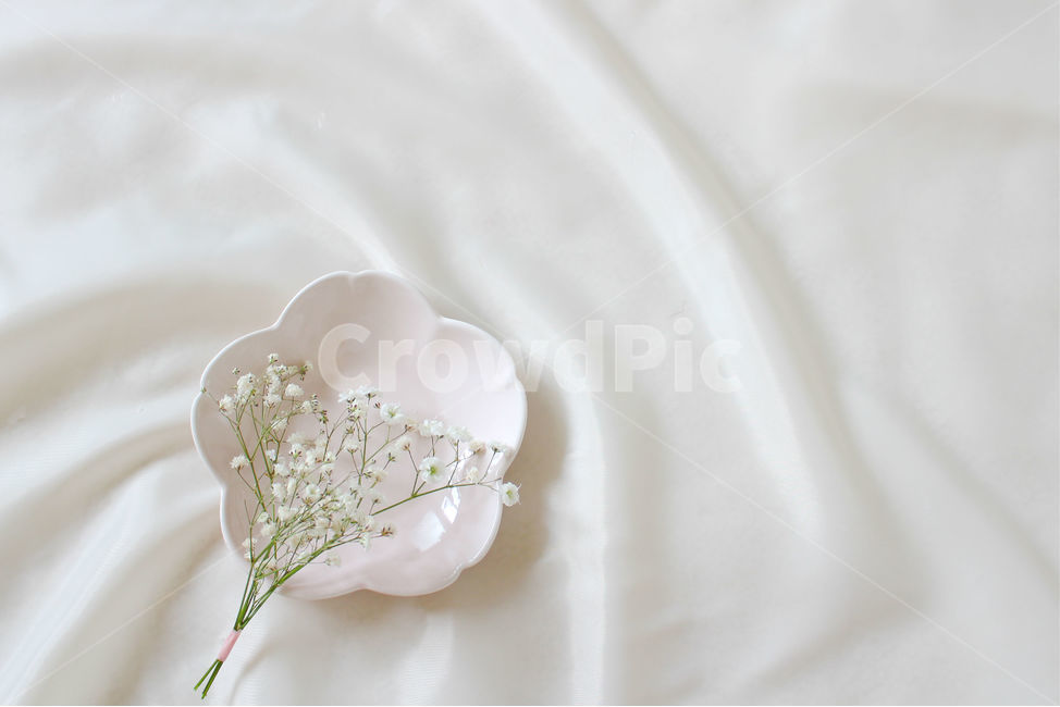 접시,꽃,안개꽃,분홍,감성사진,그릇,분홍색,하얀색,pink,white,flower,flowers,꽃,flower