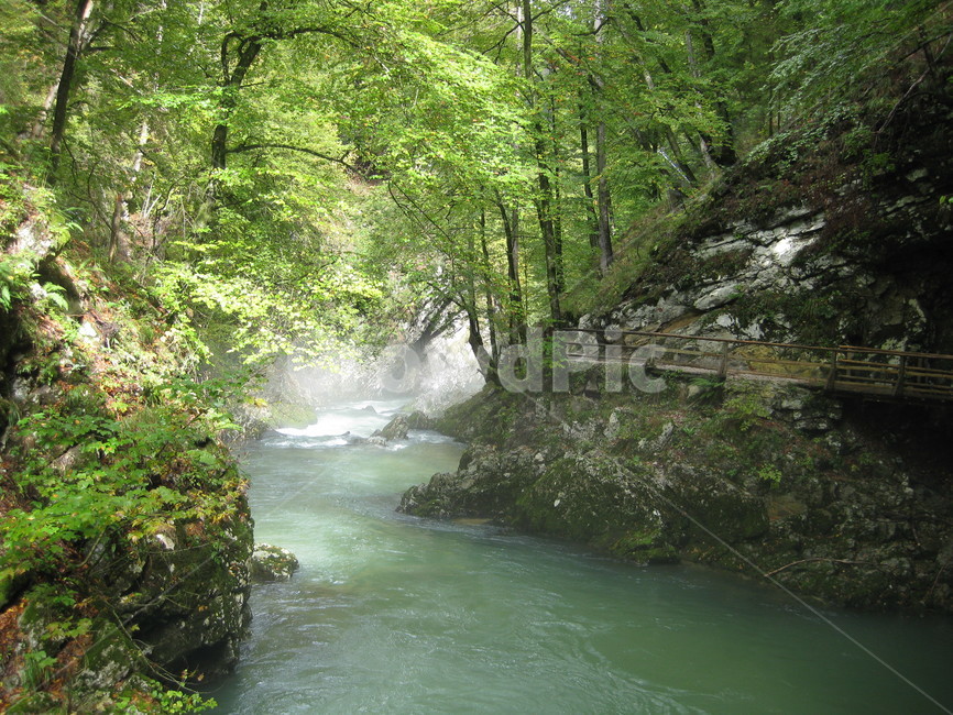 outdoors,nature,야외,자연,계곡,물,plant,식물,woodland,삼림지,stream,흐름,청정,시원,green,자연,풍경,nature,landscape