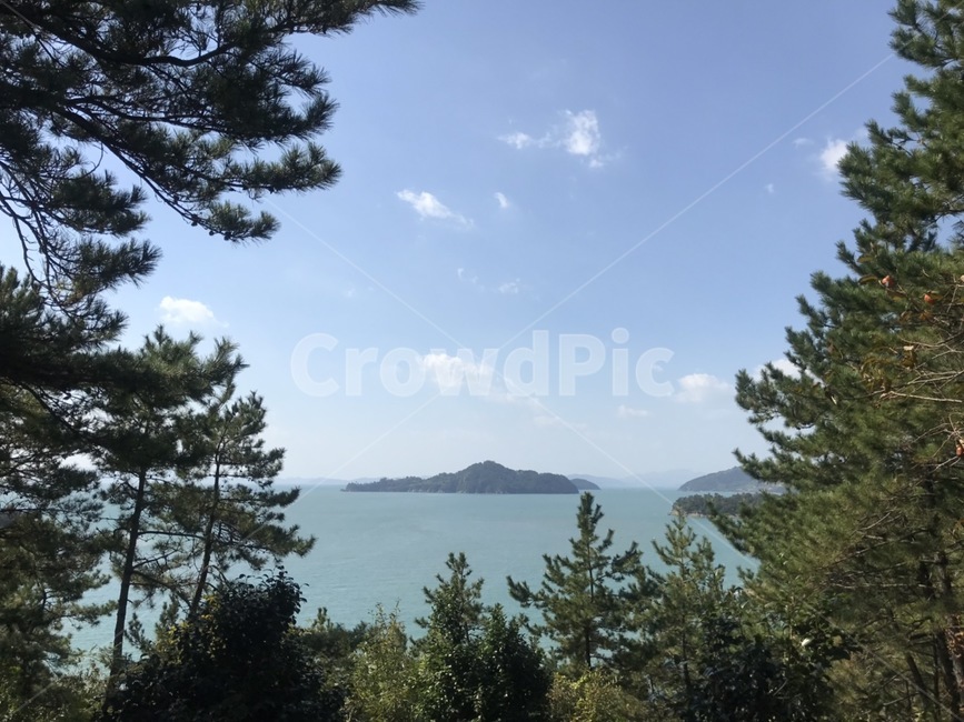 tree,옥외,outdoors,nature,자연,land,landscape,island,섬,땅,water,물,바다,자연,풍경,nature,landscape,plant,식물,나무,fir,전나무