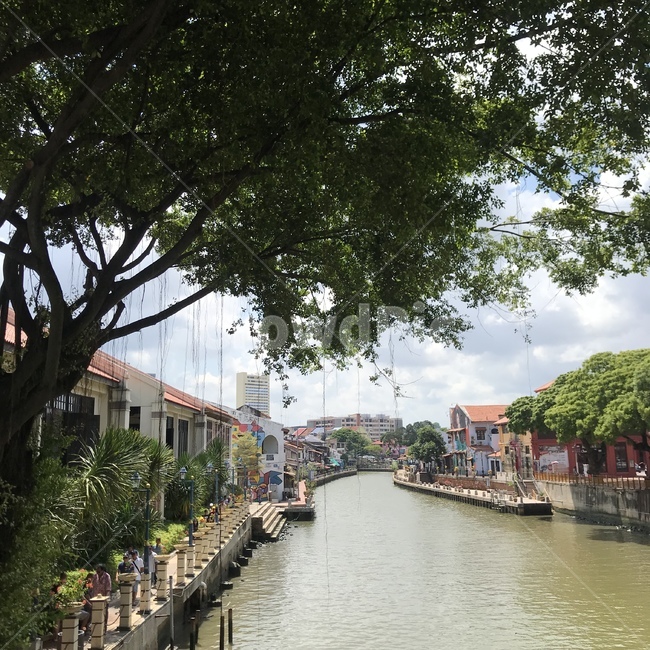 옥외,강,물,자연,나무,강가,outdoors,river,water,nature,trees,riverside