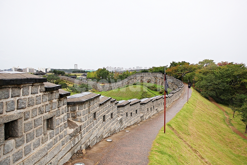 수원화성,성,성곽,길,둘레길,돌담,담,가을,자연,풍경,벽,방어벽,흙담,식물,전통,한국전통,한국문화,korean traditional,korean culture
