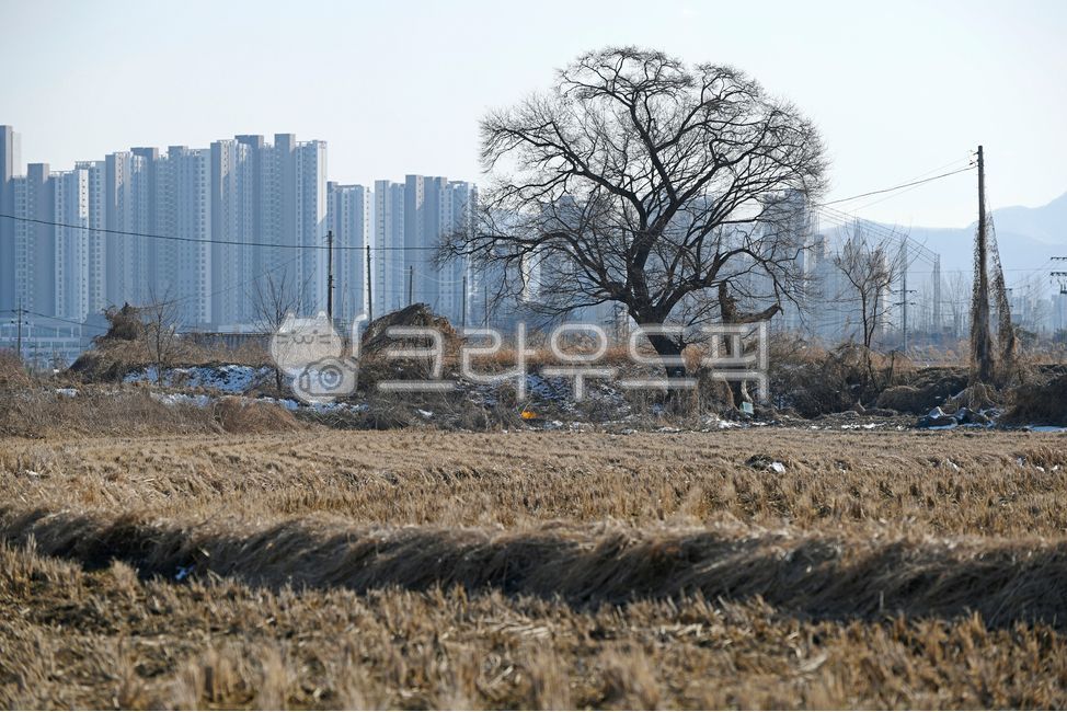 rice field,open space,building,countryside,rural landscape,power,outdoors,rice field ridge
