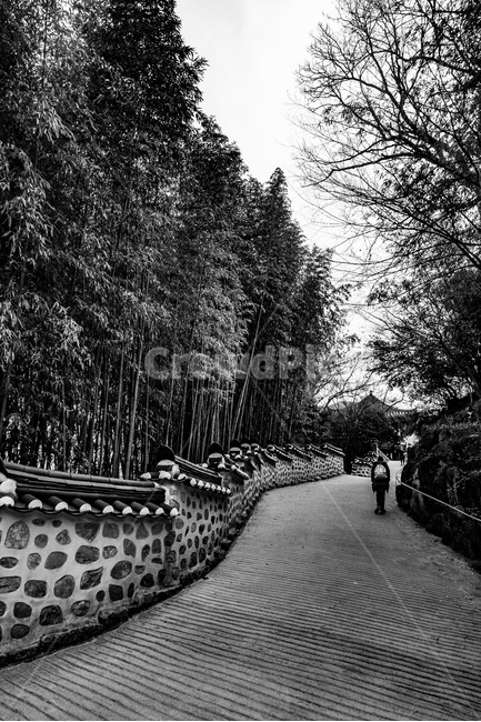 수행,범어사,대나무,기와,길,한국전통,한국문화,korean traditional,korean culture,흑백,모노톤,monochrome,black and white,건축물,건물외관,exterior,building,structure,architecture,construction