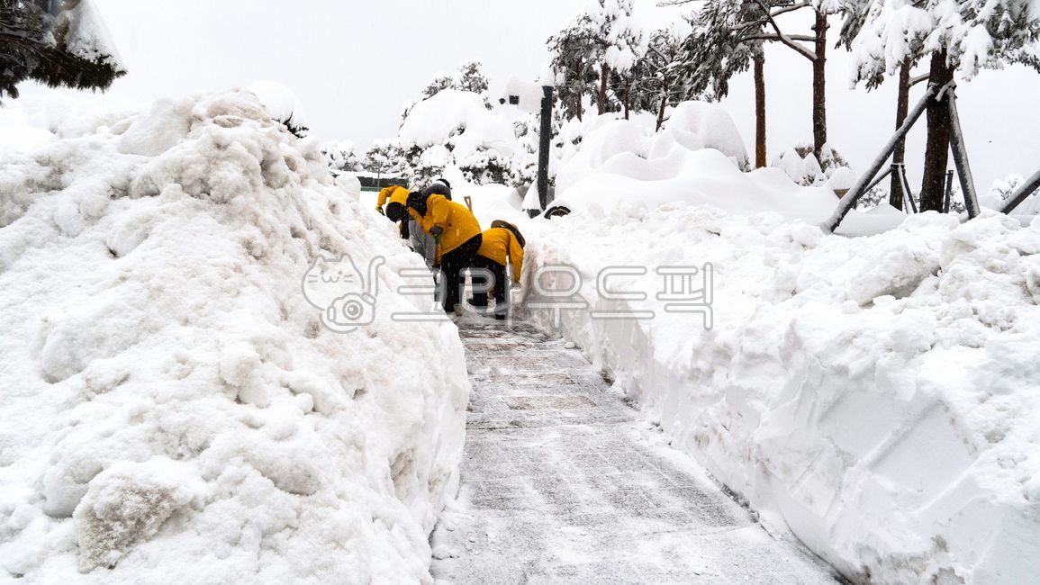 폭설,눈,겨울,사람들,제설작업,winter,snow