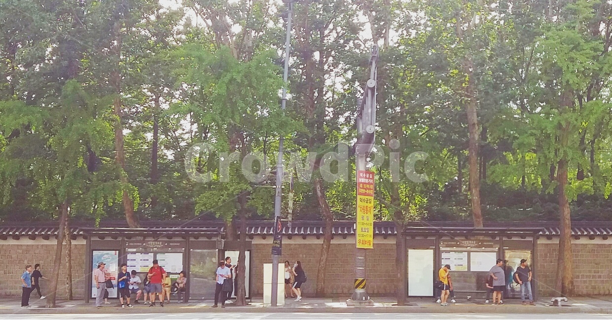 버스정류장,정류장,나무,일상,사람들,busstop,peoples,daily,사람들,대중,군중,other people,crowd,교통,교통수단,traffic,transportation