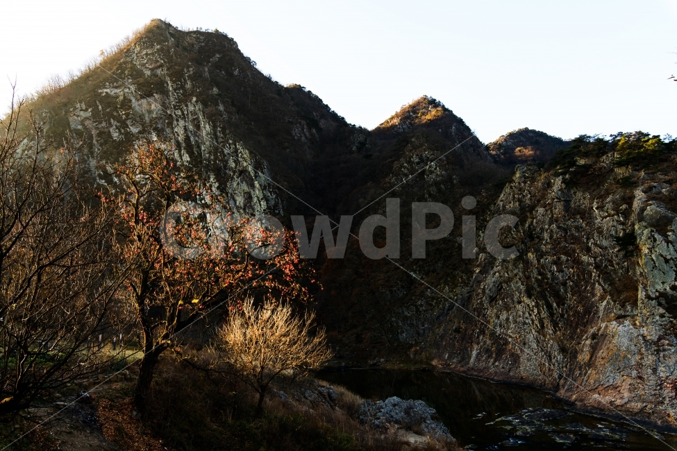 풍경,월류봉,바위,감나무,강,landscape,가을,계절,fall,autumn,season,자연,풍경,nature,landscape,한국자연풍경,한국자연경관,korea nature landscape,outdoors,옥외