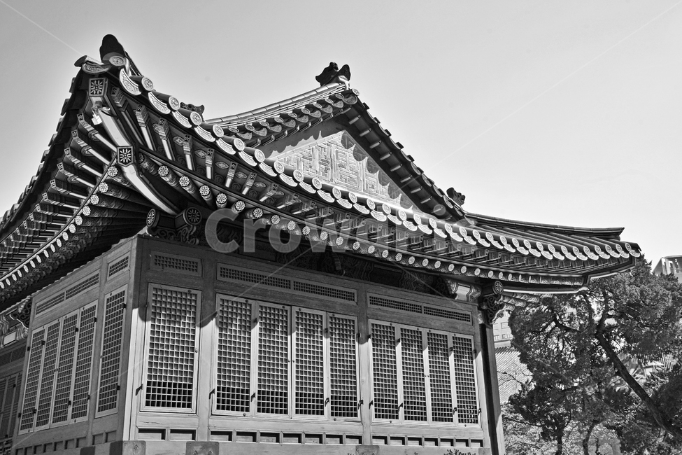 준명당,전각,덕수궁,궁궐,대한제국,고종,흑백