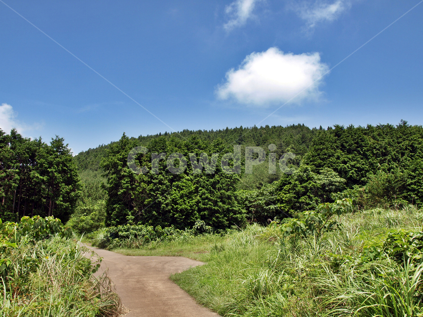독자봉,오름,올레3코스,올레,제주,서귀포,자연,올레길,자연,풍경,nature,landscape,outdoors,옥외,dirt road,흙길,road,도로,gravel,자갈