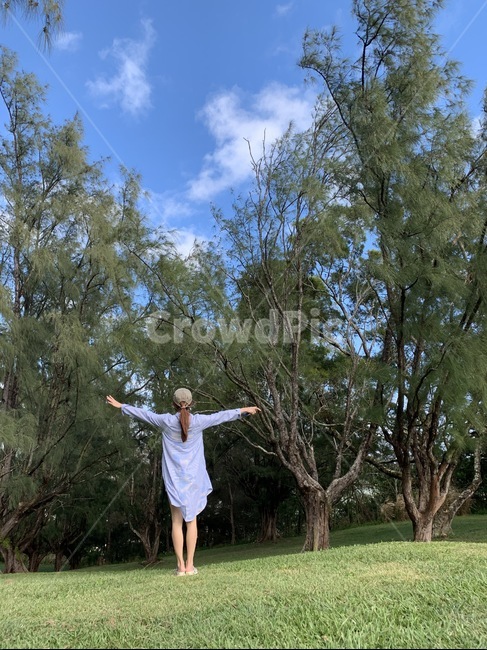 하와이,grass,plant,식물,human,나무,tree,사람,person,인간,여자,여성,lady,woman,휴가,여행,휴식,힐링,healing,풍경,자연,맑음,들판,잔디,여행,휴가,traveling,vacation,trip