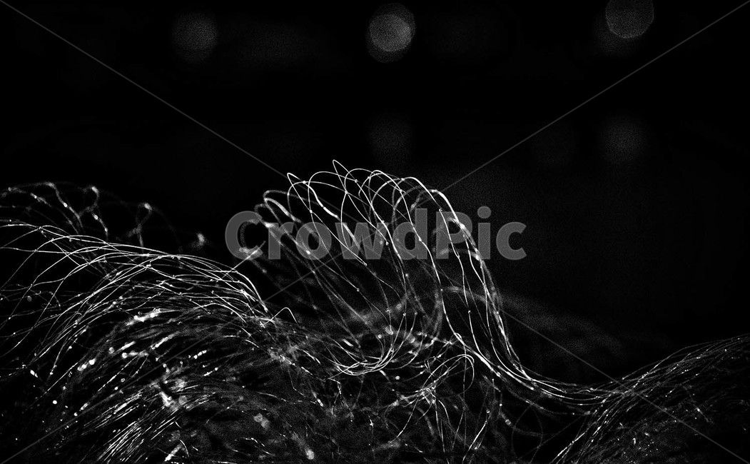 어망,그물,빛,고기잡이준비,그물정리,흑백,모노톤,monochrome,black and white
