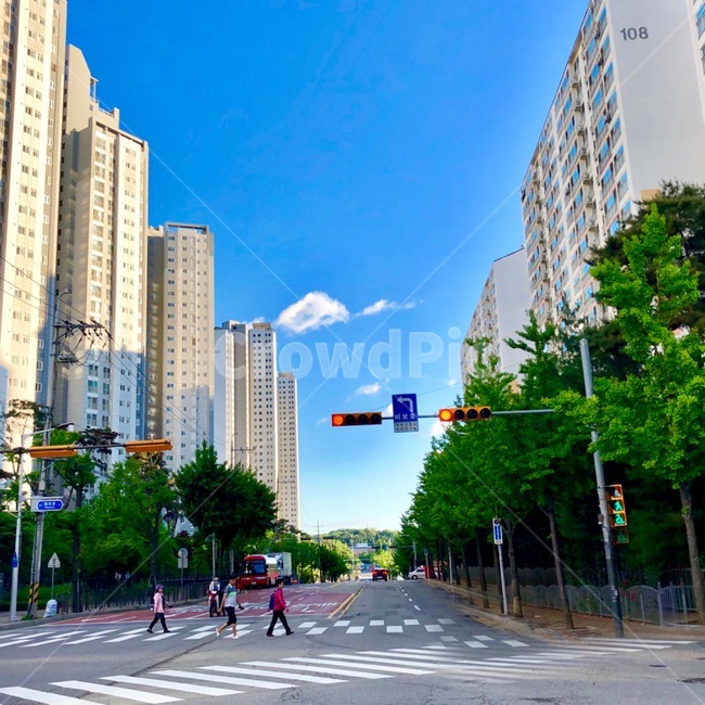 신호등,사거리,길거리,아파트,건축물,건축,하늘,맑은하늘,도시,주택,빌딩,한국,표지판,cloud,sky,나무,풍경,city,exterior,building,pavement,인도,구름,초록,파랑,비보호