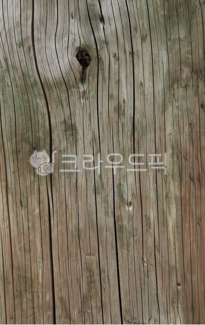 tree pattern,hardwood,old wood,texture,retro,tree,old material,vintage,tree background,wood,tree design,group