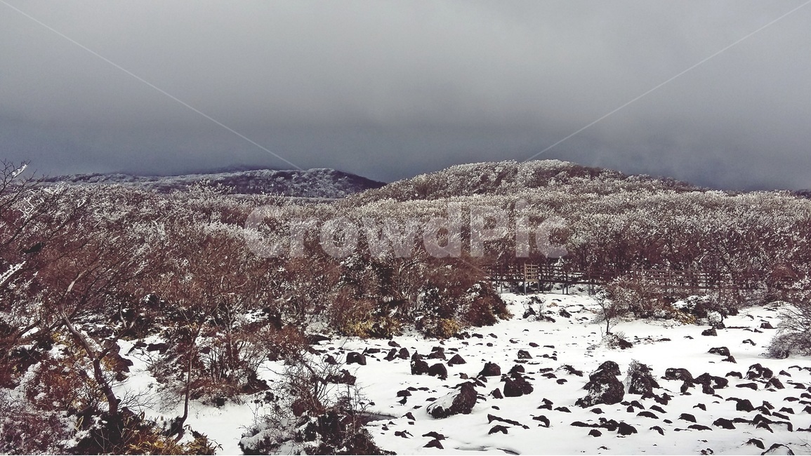 제주도,1100고지,한라산,휴게소,산책로,눈,겨울,겨울,계절,winter,season,자연,풍경,nature,landscape,한국자연풍경,한국자연경관,korea nature landscape,제주도,jeju,jeju island,outdoors,옥외,ice,얼음,빙