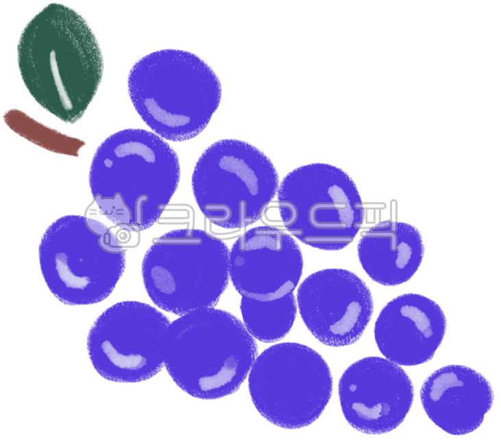 Grapes,grape hand drawing,illustration,colored pencil drawing,grape illustration,fruit,purple fruit