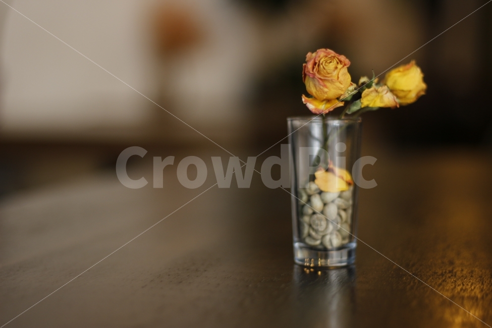 coffee,cafe,greenbean,flower,interior,table,커피,카페,인테리어,생두,꽃,봄,식물,자연,plants,nature,인테리어,실내디자인,interior design,꽃,flower