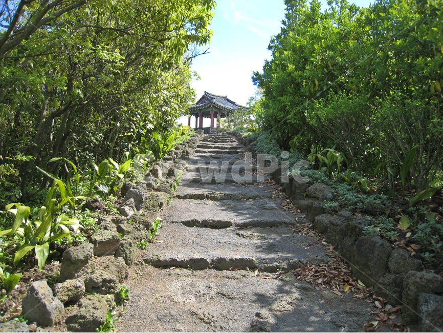 제주도,민속촌,계단,정자,돌,나무,돌계단,jejuisland,stairs,tree,stone,자연,풍경,nature,landscape,한국전통,한국문화,korean traditional,korean culture,slate,슬레이트,outdoors,옥외,arbour,garden,정원,flagstone,판석