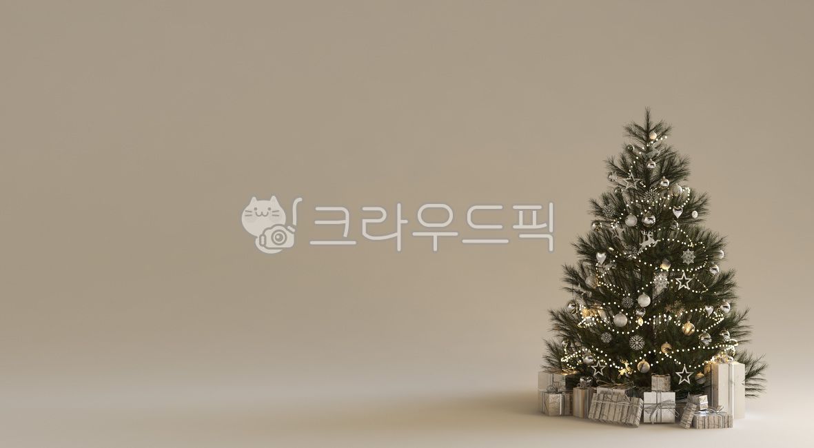 크리스마스,트리,크리스마스트리,겨울,12월,plant,식물,tree,나무,선물,산타,메리크리스마스,성탄절,merry christmas