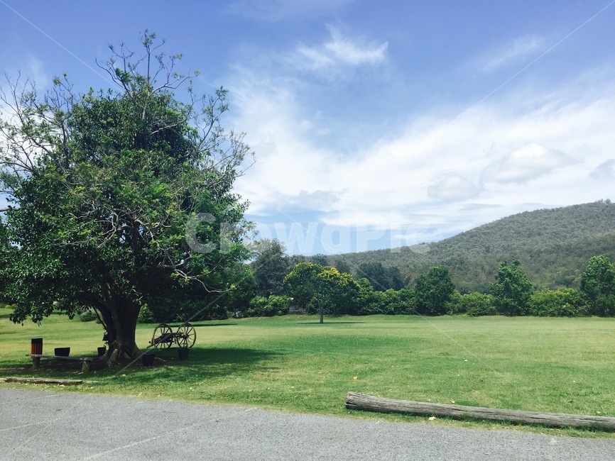 풍경,나무,하늘,산,들판,잔디밭,자연,호주,자연,풍경,nature,landscape,세계자연풍경,해외자연풍경,외국자연풍경,world nature landscape,plant,식물,grass,잔디,outdoors,옥외