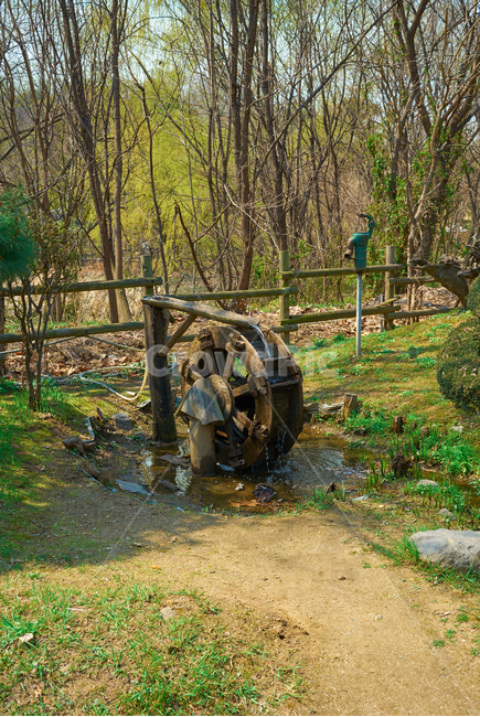 물레방아,한국적인,spinningwheel,봄,나무,숲,원목,spring,tree,wooden