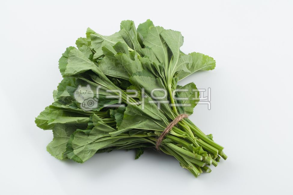 그릇,아욱,한식,된장아욱국,아욱요리,가을요리,채소,식물