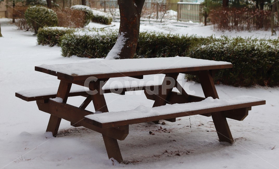 벤치,table,가구,furniture,겨울,눈,감성,눈밭,snow,winter,korea,tree