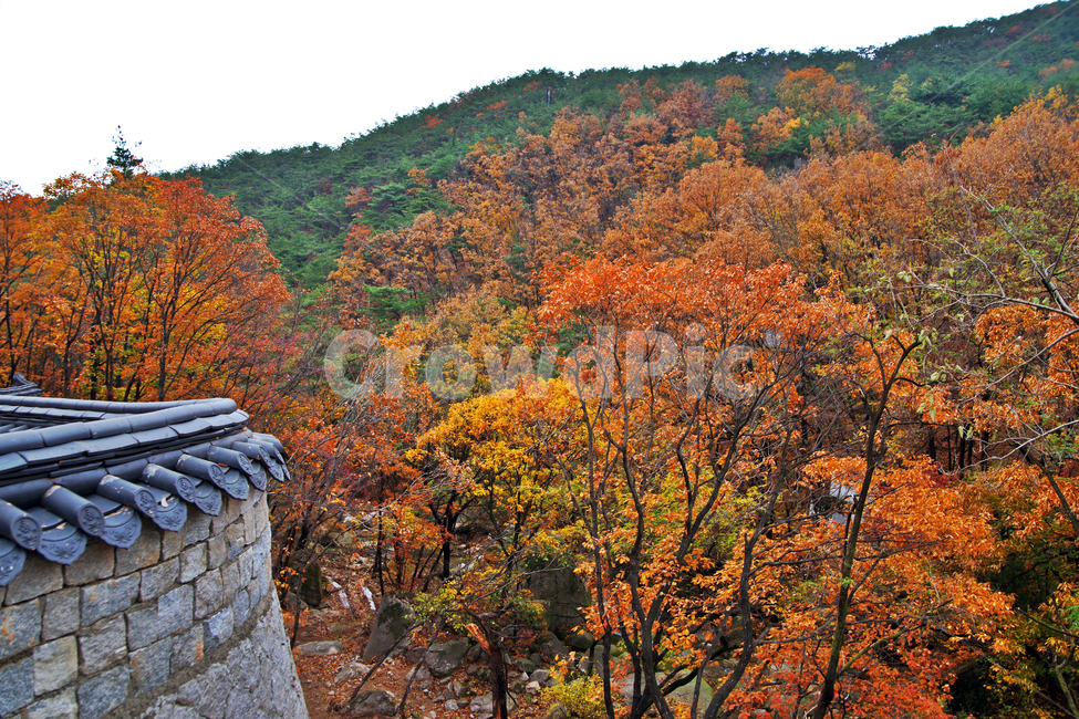 삼천사,북한산,조계종,전통사찰,단풍,담,가을,축대