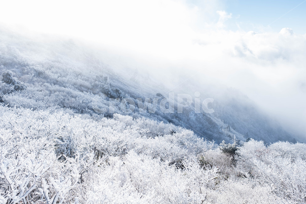 설경,산,겨울산,겨울,눈꽃,눈,등산,능선,추위,도전,하늘,구름,정상,흐림,덕유산,계절,winter,season,자연풍경,nature,landscape,한국자연풍경,한국자연경관,koreanaturelandscape,바람,흩날리다,무주,향적봉,상고대,눈보라,폭설,설산,설국,겨울,계절,winter,season,자연,풍경,nature,landscape,한국자연풍경,한국자연경관,korea nature landscape,outdoors,옥외,ice,빙