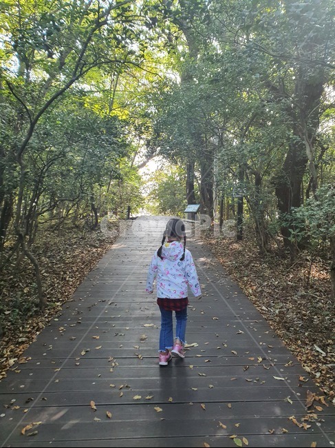 아이,뒷모습,나무,숲,사람,인간,의류,apparel,clothing,사람,인물,인간,human,person,어린이,어린아이,child,children,kid