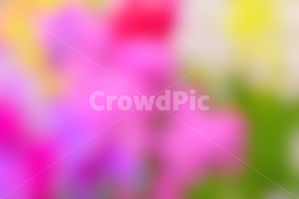 봄,색감,감성,분위기,느낌,벡그라운드,emotion,feeling,sensible,칼라풀,색상,화려한,colorful,season,시즌,계절,몽환적,그라데이션,gradation,art,번짐,혼색,다양한,노랑,빨강,핑크,분홍,그린,녹색,봄배경,background,바탕,배경