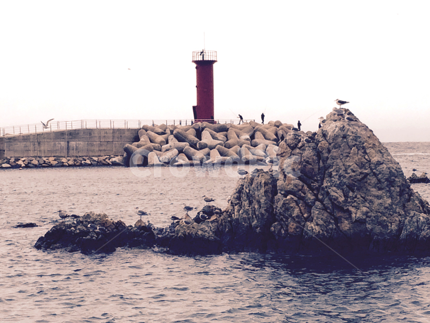 sea,breakwater,seawall,lighthouse,seagull,등대,방파제,바다,갈매기,해안,자연,풍경,nature,landscape,architecture,건축물,building,건물,tower,탑