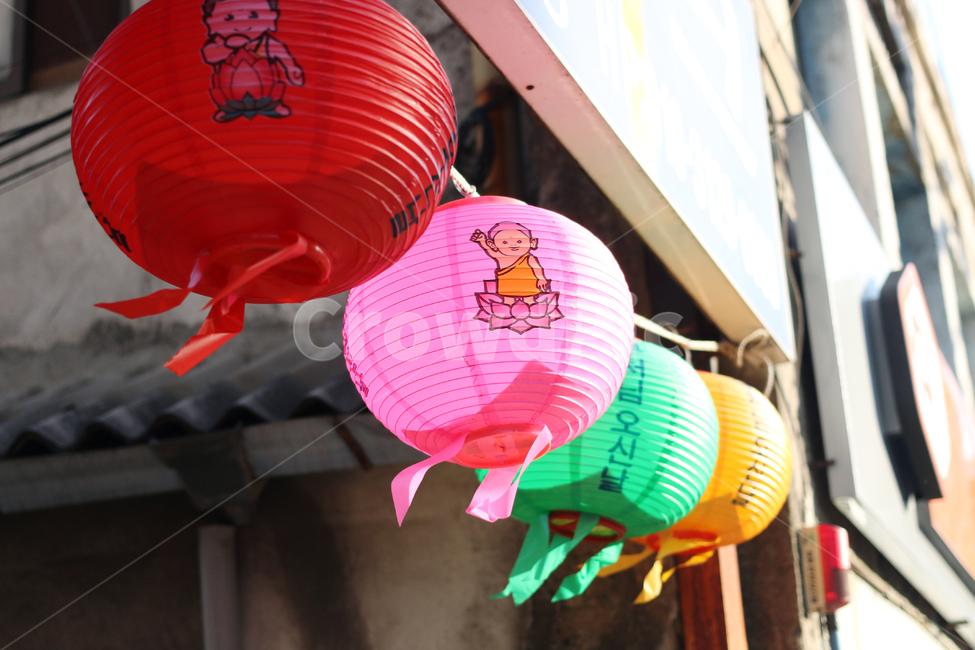 부처님,부처님오신날,조명,장식,길가,풍경,종교,신앙,religion,belief,faith,축제,행사,festival,carnival,event