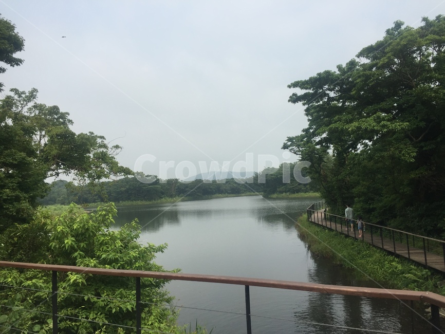 풍경,강,산책,산책로,summer,jeju,제주도,자연,힐링,landscape,nature,강가