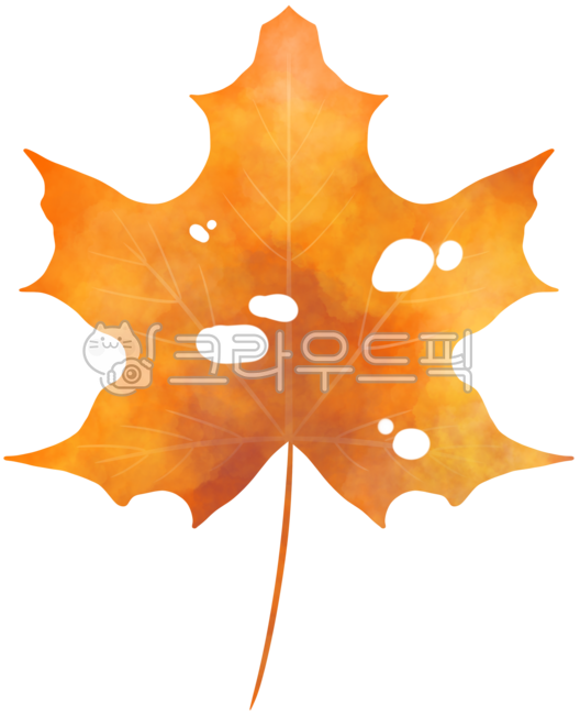 Fallen leaves with holes,leaves,fallen leaves with holes,insect-eaten leaves,perforated leaves,fallen leaves with holes,maple leaves,maple leaves,watercolor,watercolor maple leaves,watercolor maple leaves,fall,pretty maple leaves,fall sensibi