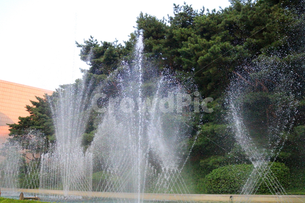 분수,분수대,물,공원,예술의전당,나무,소나무,자연,풍경,nature,landscape,water,fountain