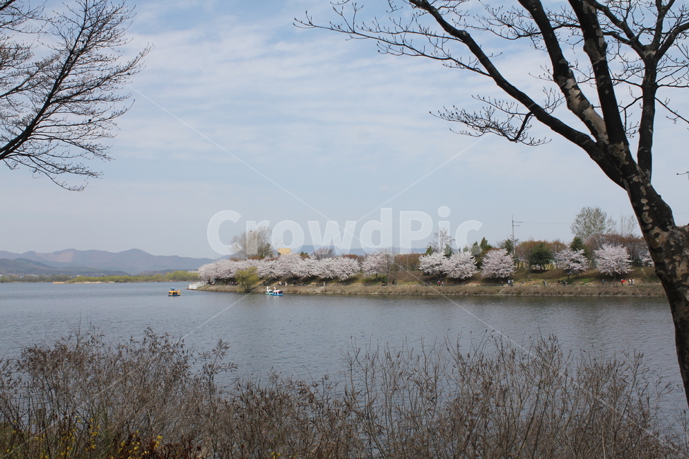 호수,풍경,자연,물,나무,자연,풍경,nature,landscape,outdoors,옥외,water