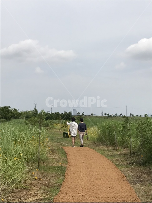 뒷모습,산책,산책길,우정,사랑,하늘,화창