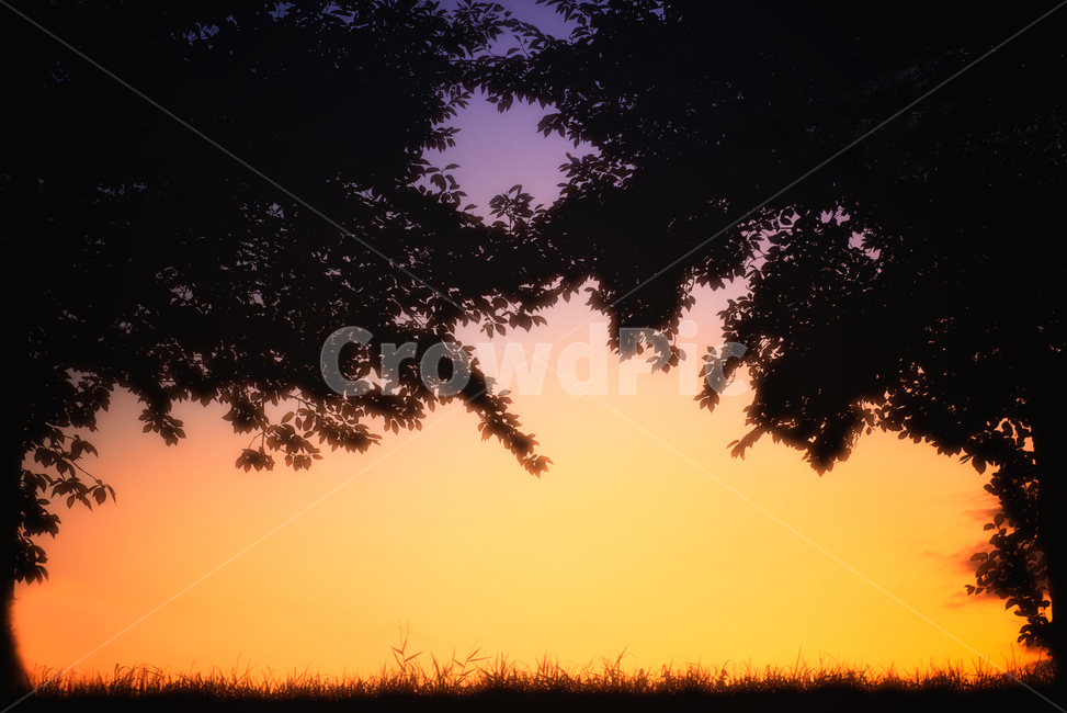 Sunset,Sunrise,Sun,Silhouette,Tree,Branch,Leaves,Nature,Landscape,Frame-in-Frame,GoldenSky,Emotional,Mysterious,Background,CopySpace