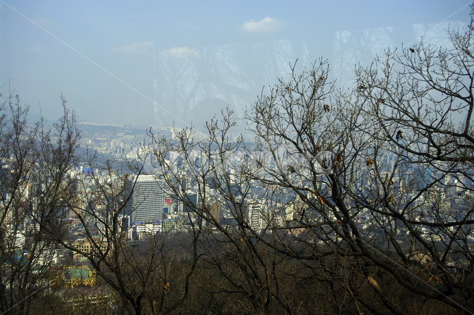 도시,서울,풍경,산,경치,하늘,scenery,landscape,나무