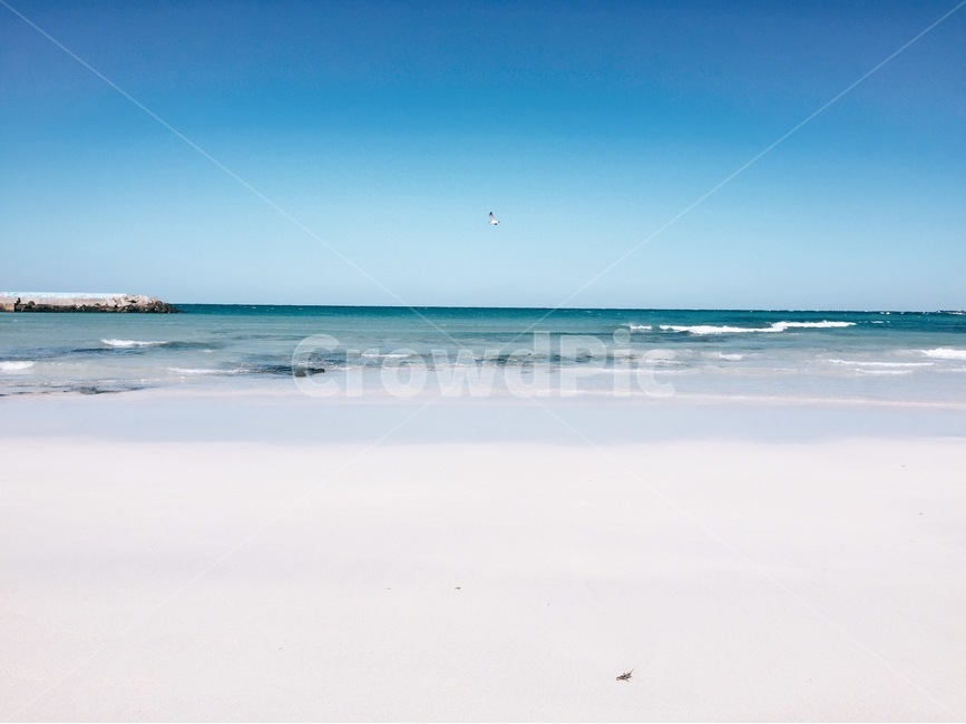 바다,푸른,하늘,제주,제주도,파랑,blue,sea,sky,해변,해수욕장,풍경,자연,풍경,nature,landscape,해변,바다,beach,sea,outdoors,옥외,ocean,대양,water,물,shoreline,해안선