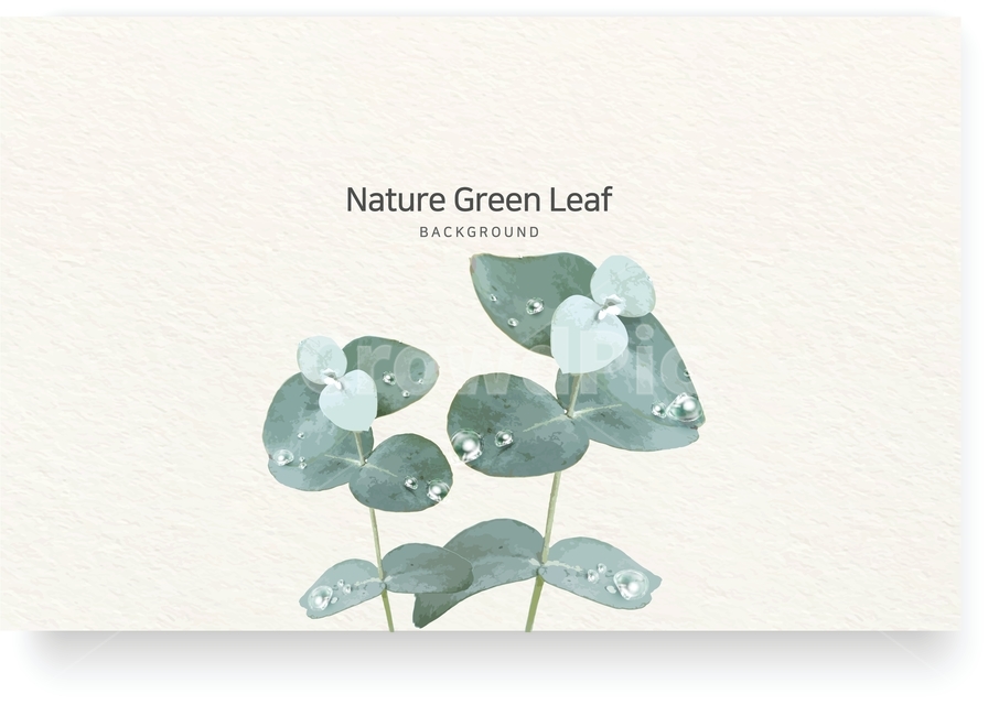 template,luck,sunshine,eucalyptus,memo,blur,hopeful,Clean,title,spring flowers,spring,beautiful,petal,copy space,season,spring day,event,energy,factory,new,natural,nature,main text,festival,clear,message,shine,flower,morning,Eco,water drop,environment,ref