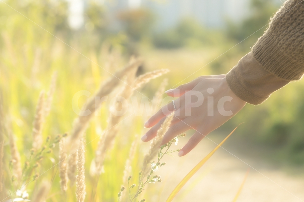 감성,가을,따뜻함,빛,autumn,fall,사람,인물,인간,human,person,신체일부,몸,body,감성,sensible,feeling,휴식,힐링,rest,relaxation,healing