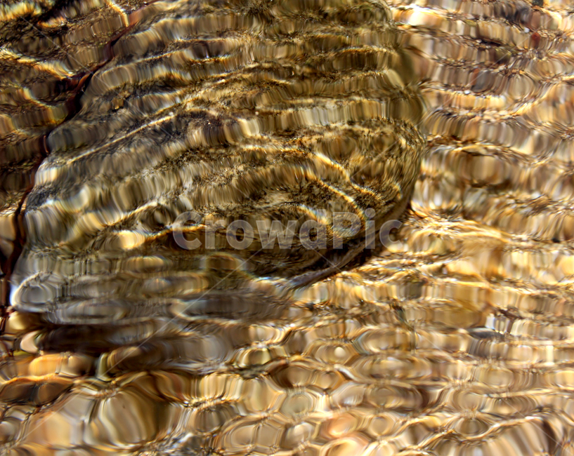 물결,계곡,물,돌,자연,아름다운,배경,햇빛,물살,자연,풍경,nature,landscape,water,animal,동물,invertebrate,무척추 동물,insect,곤충,outdoors,옥외