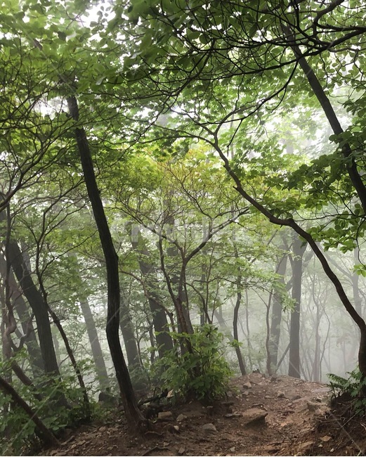 등산,산,연인산,자연풍경,산길