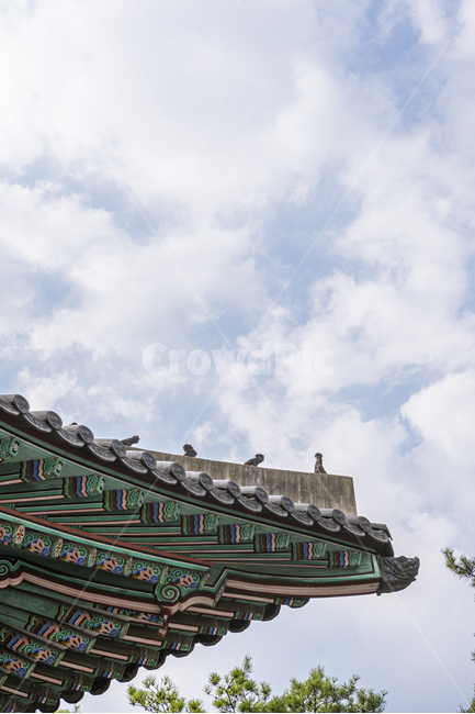 처마,단청,한국의미,여름날,전통사진,한옥,소나무,나무,녹색,koreatraditional,koreanculture,한국의색,인테리어,건축,건물,architecture,building,건축물