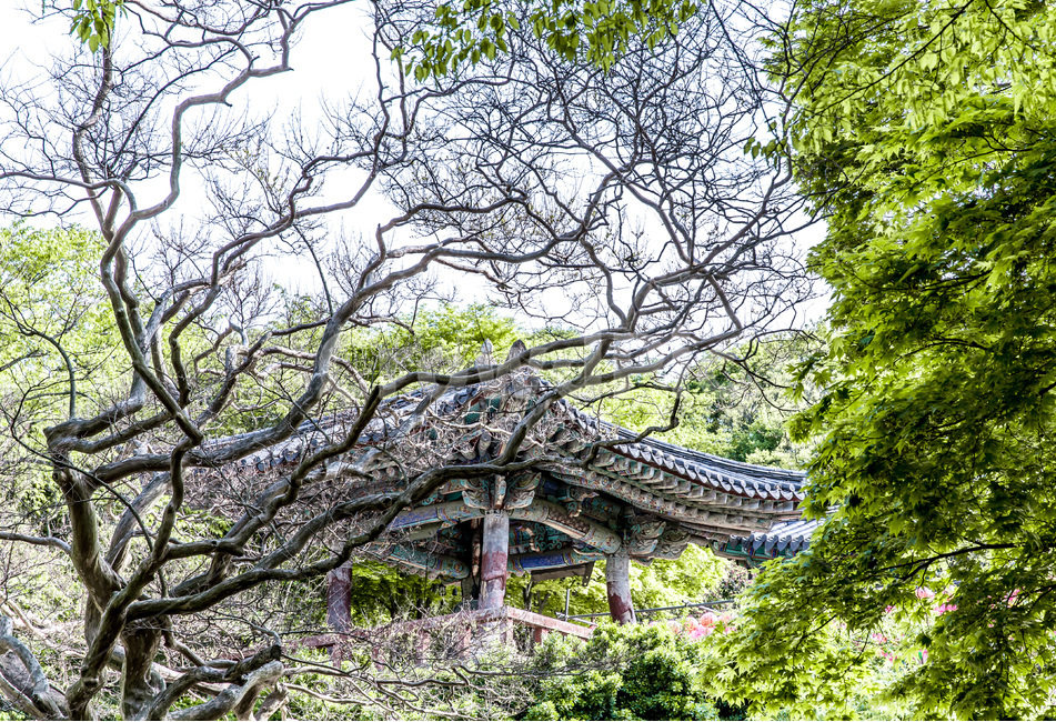 한국의미,전통,사찰,풍경,관광지,한국전통,한국문화,korean traditional,korean culture,종교,신앙,religion,belief,faith,건축물,건물외관,exterior,building,structure,architecture,construction