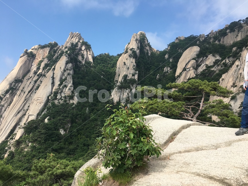 북한산국립공원,도봉산,도봉산여름,여름도봉산,dobongsan,mountain,산,여름산,자연,풍경,nature,landscape