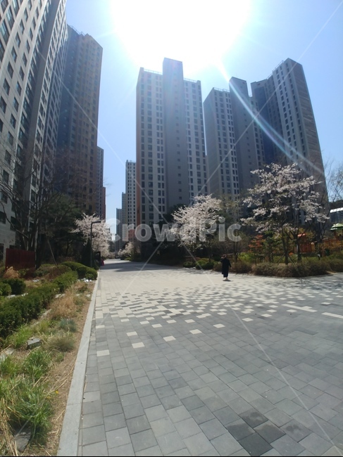길,아파트,태양,햇빛,햇살,도시,풍경,city,landscape