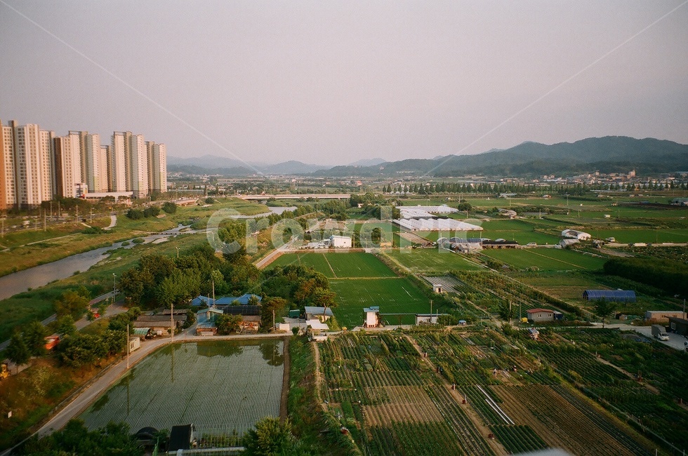 필름,시골,도시,아파트,풍경,시골,마을,풍경,landscape,country,rural,town
