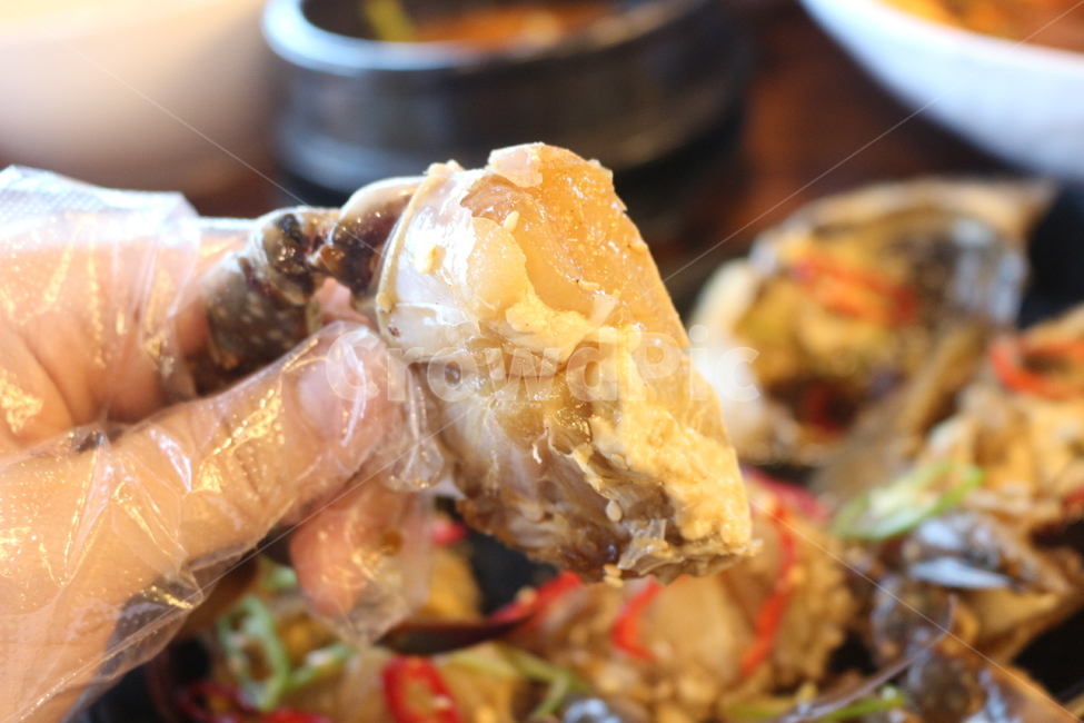 간장게장,crab,게딱지,food,koreafood,soycrab,간장게장정식,음식,식재료,요리,food,cook,meal,dishes,food reserves,수산물,해산물,fishery products,seafood,한식,한국음식,한국요리,korean food,korean dishes,korean meal,korean cook