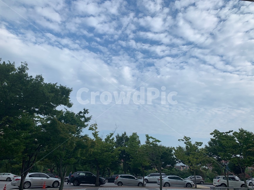 여름,하늘,구름,전남대학교,풍경